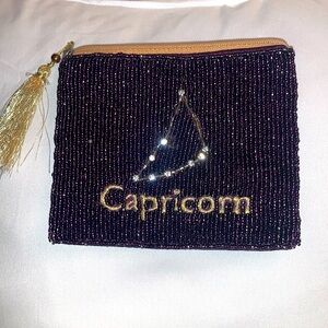 Crystal Capricorn change purse 👜
